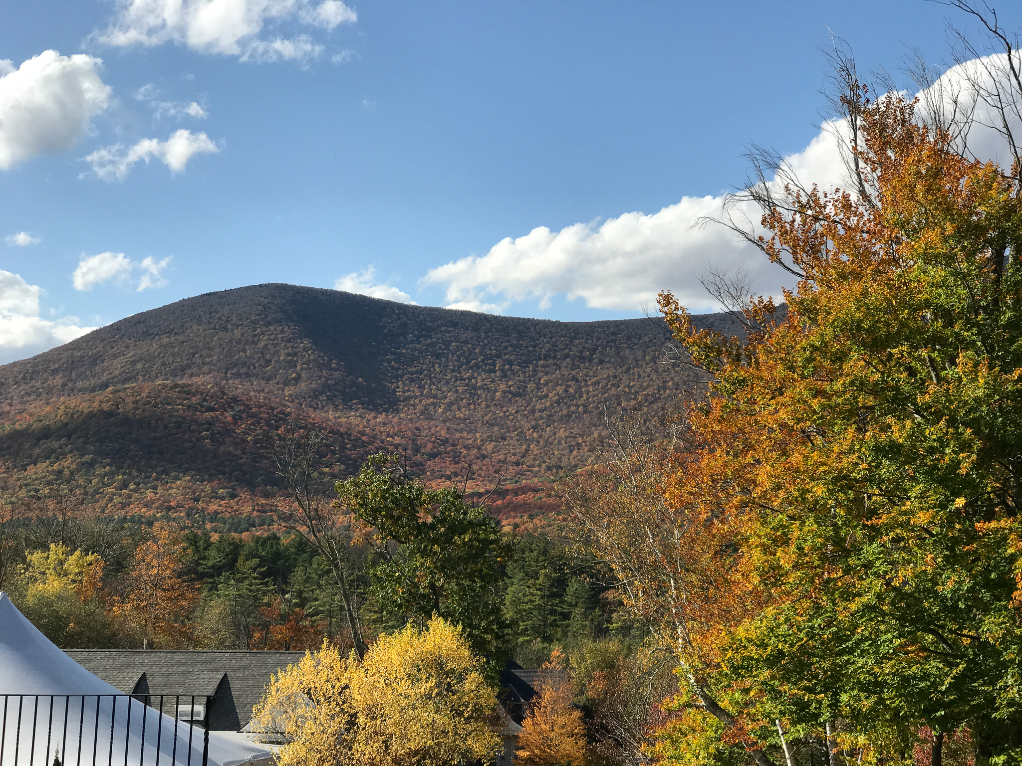 Chicken and Corn Chowder